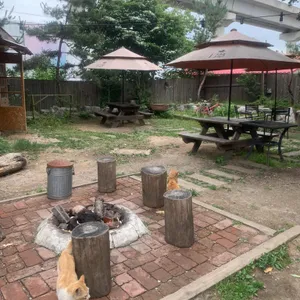단풍나무 리뷰 사진