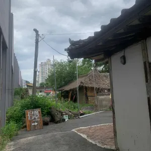 단풍나무 리뷰 사진