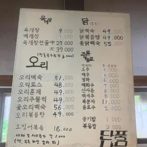 단풍나무 리뷰 사진