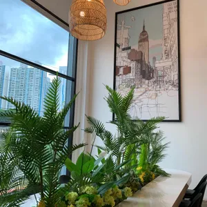 노부스테라 리뷰 사진