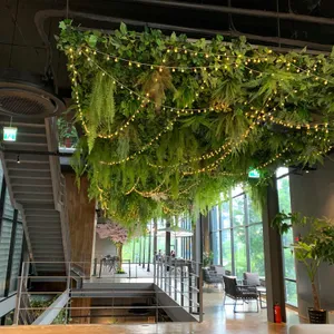 노부스테라 리뷰 사진