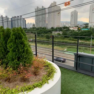 노부스테라 리뷰 사진