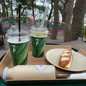 파나카F 리뷰 사진