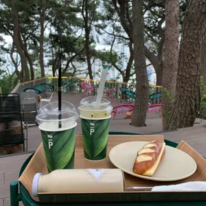 파나카F 리뷰 사진