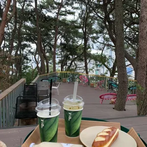 파나카F 리뷰 사진