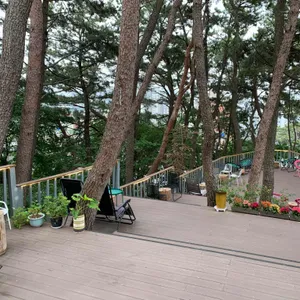 파나카F 리뷰 사진