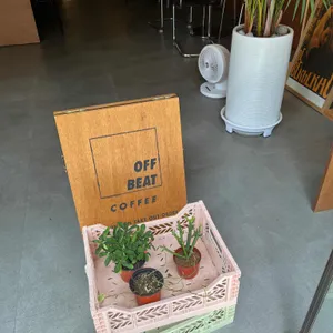 오프비트 리뷰 사진
