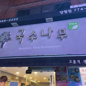 국수나무 리뷰 사진