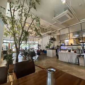 페스토 리뷰 사진