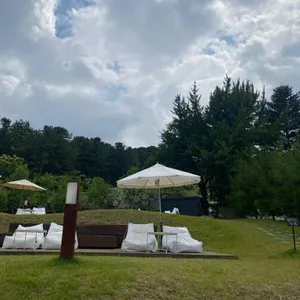 나무아래오후 리뷰 사진