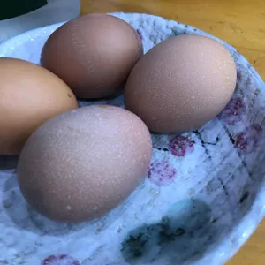 명가순두부 리뷰 사진