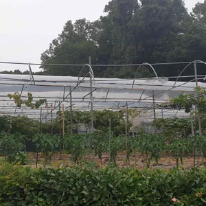 숲속의포도원 리뷰 사진