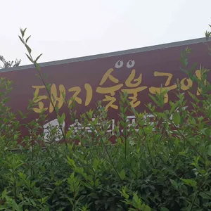 숲속의포도원 리뷰 사진