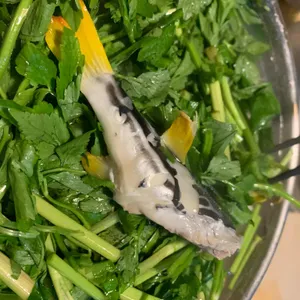 복마중 사진