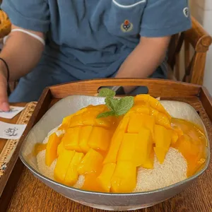 거북이 리뷰 사진