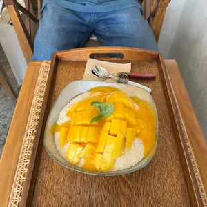 거북이 리뷰 사진