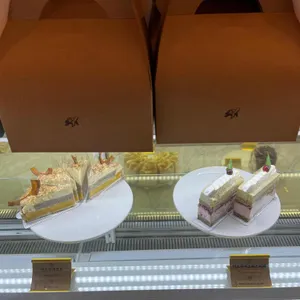 거북이 리뷰 사진