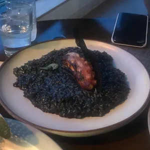 시즈너 사진