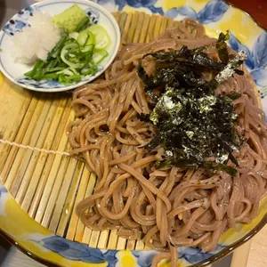 요기야 사진