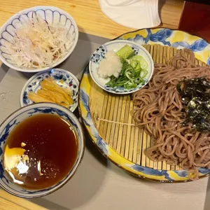 요기야 사진