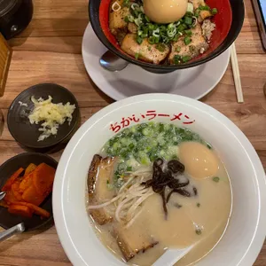 치카이라멘 리뷰 사진