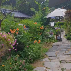 백일홍 리뷰 사진