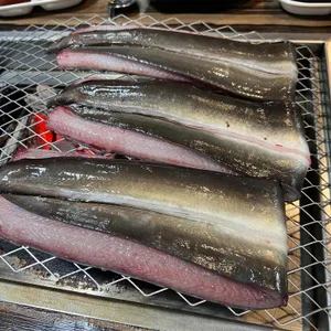 풍천장어 사진