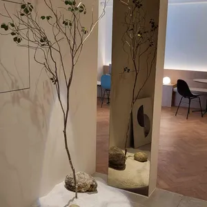 데일리레코드 리뷰 사진