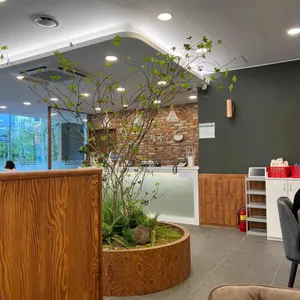 수제국수 리뷰 사진