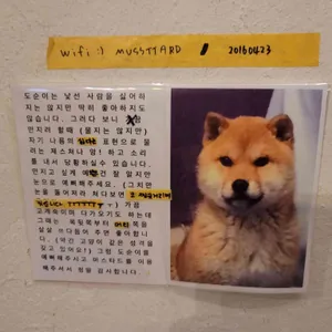 머스타드 리뷰 사진