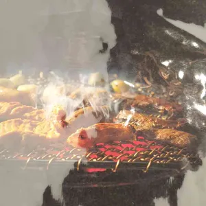 오발탄 리뷰 사진
