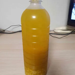 햇살머믄꼬마김밥 사진
