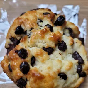 표스콘 사진