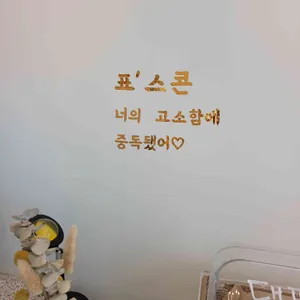 표스콘 리뷰 사진