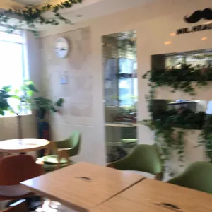 미스터힐링 리뷰 사진