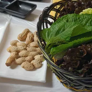 주왕산송어 사진