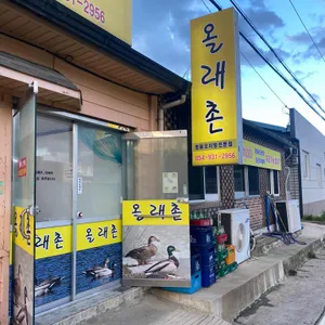 올레촌 리뷰 사진