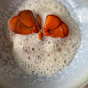 에빠뉘 사진