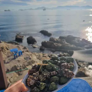 영도해녀촌 사진