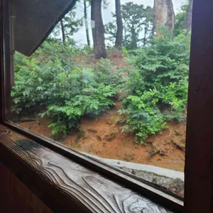 황토방 한정식 리뷰 사진