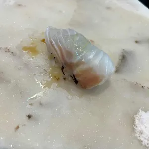 키세츠스시 사진
