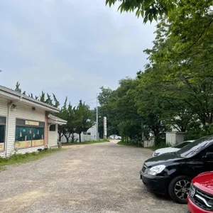 야구장농원 리뷰 사진