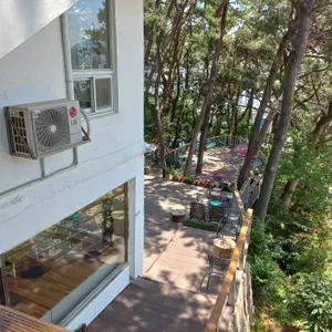 파나카F 리뷰 사진