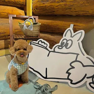 롤키 리뷰 사진