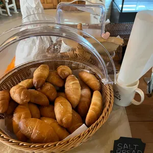 롤키 사진