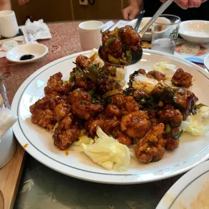 천진 사진