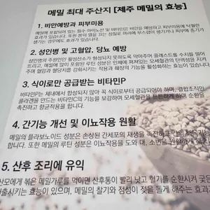 메밀밭에가시리 리뷰 사진