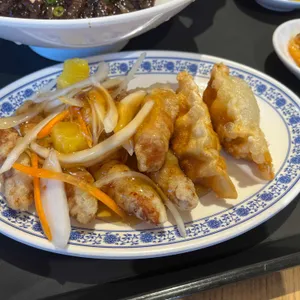 신차이 사진