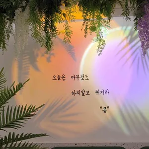 도카 리뷰 사진