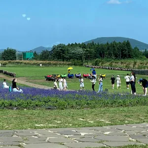 카페보롬왓 리뷰 사진